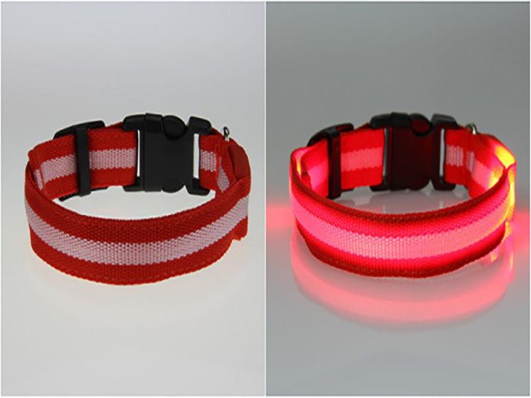 LED Pet Safety Collar - Multiple colors available