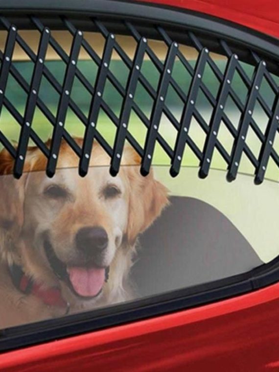 Pet Travel Car Window Mesh
